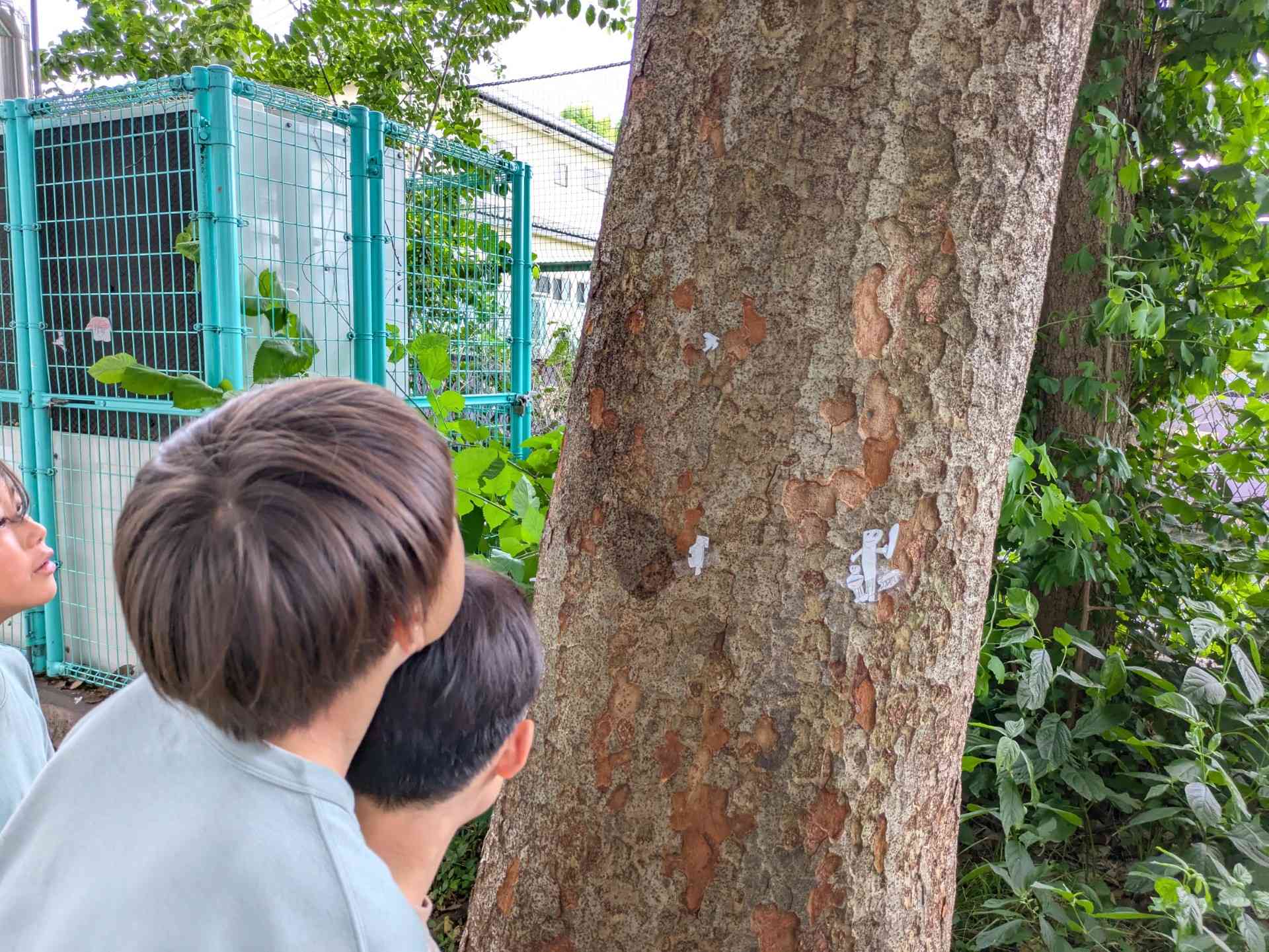 thumbnail_1000008078