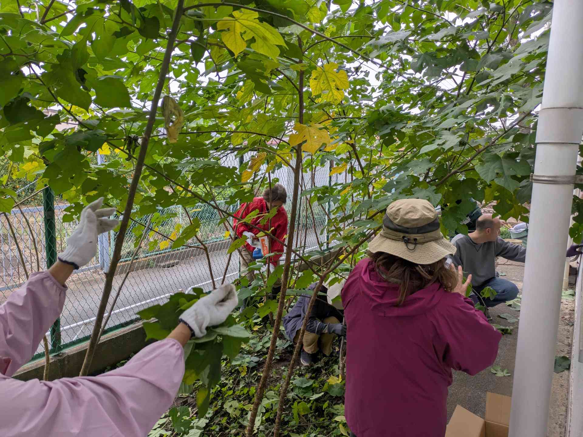 thumbnail_1000009017