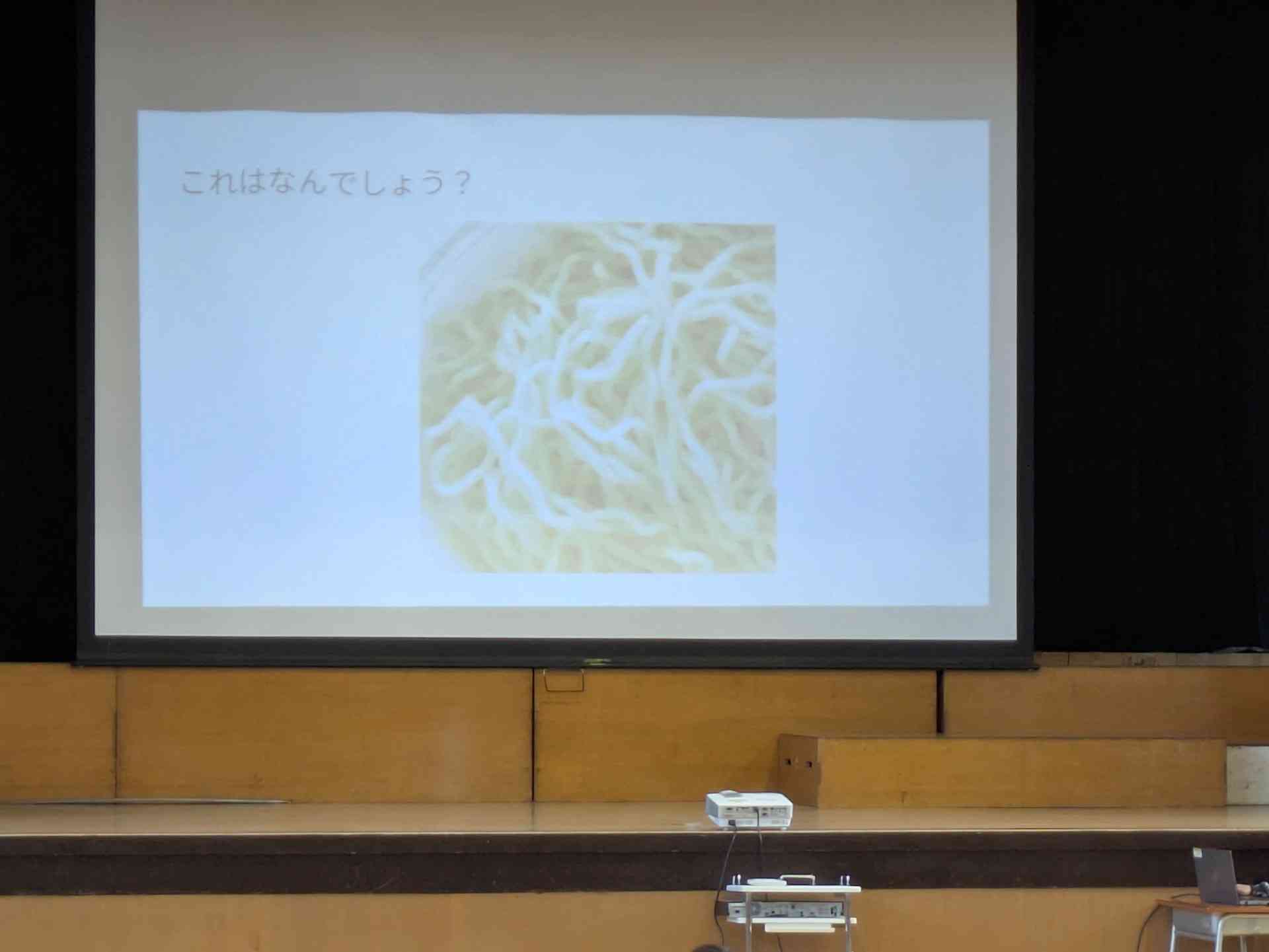 thumbnail_1000009372