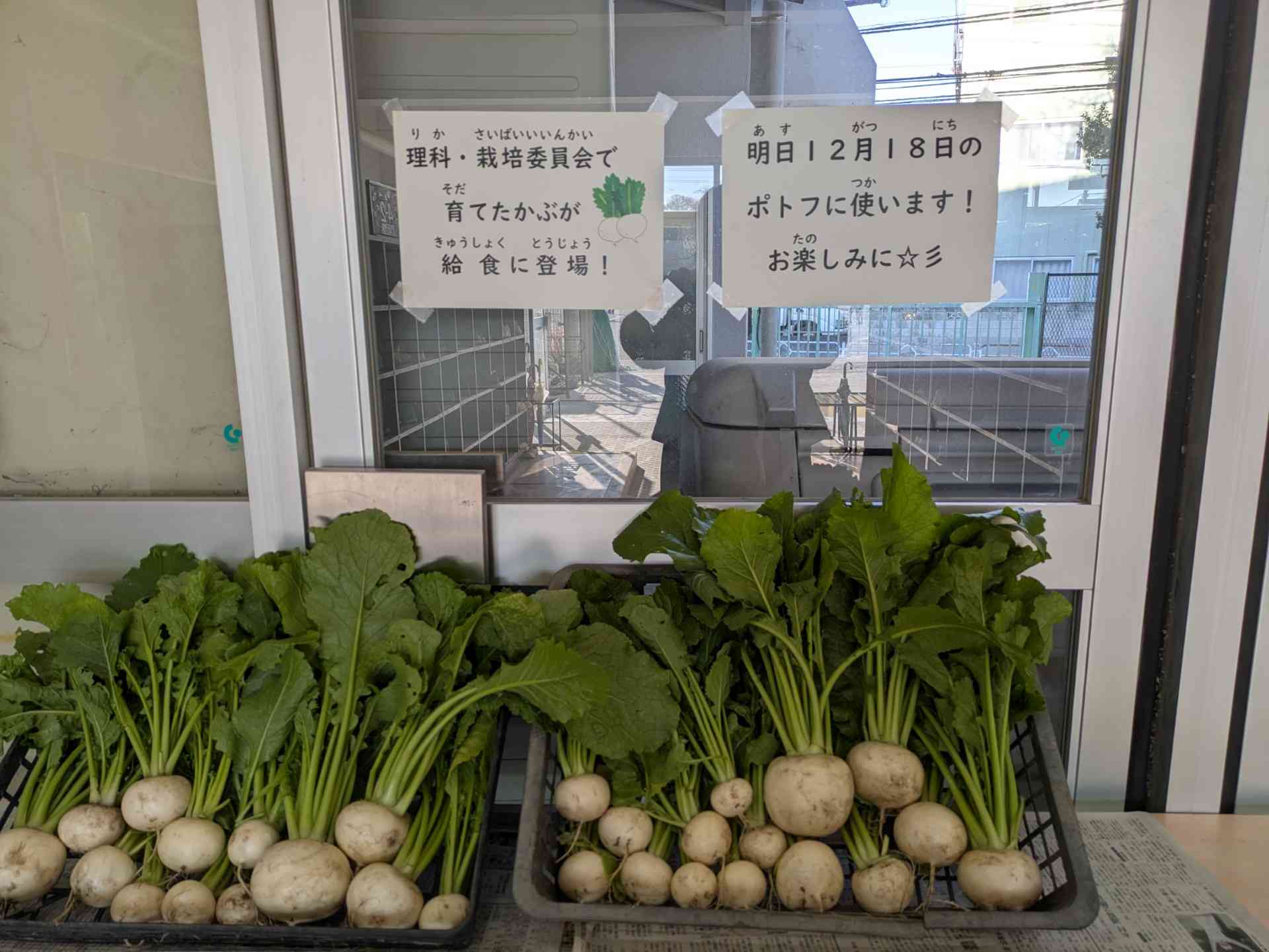 thumbnail_1000009398