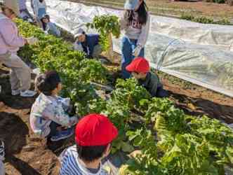 82f9c173-33fe-403c-8e9b-9d15696e70d7