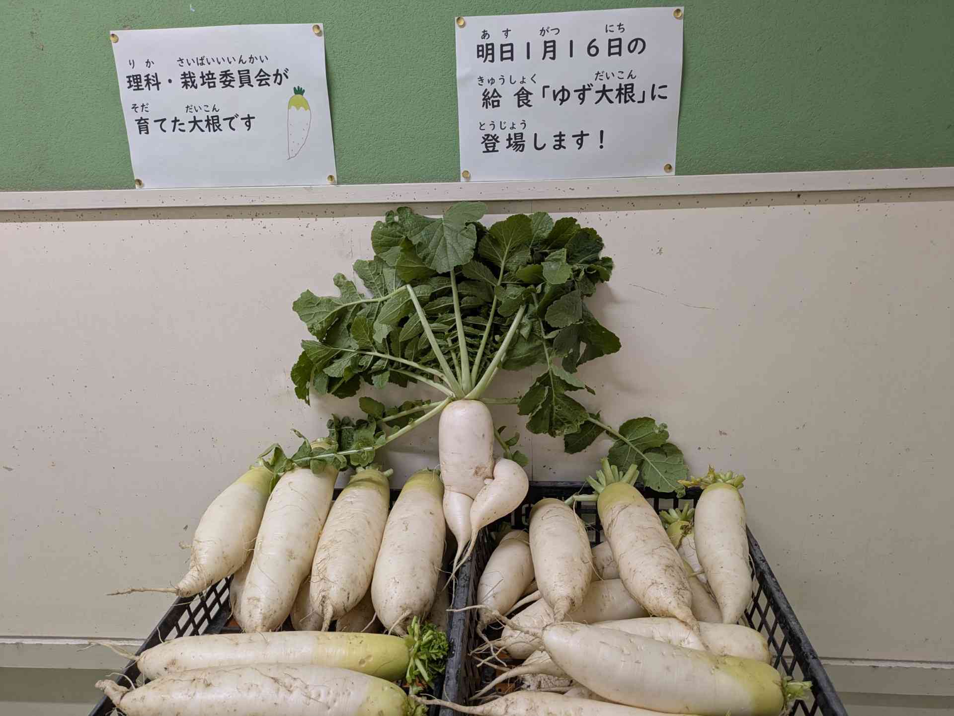 ccae3852-b8a5-4f7b-89e6-a9a8f24b9c6d