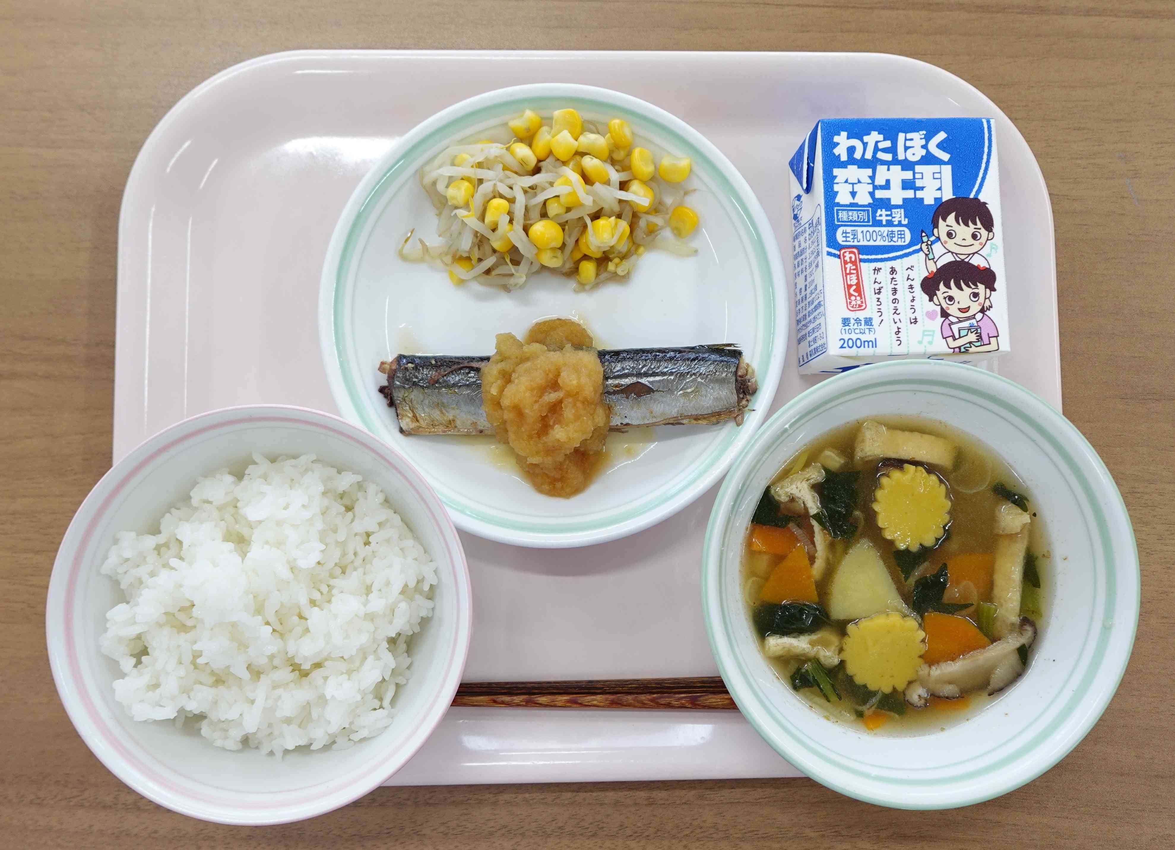 9日(水)